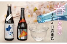 A33-203　春にお勧め！30セット限定　季節限定　大山＆白露垂珠　限定酒２本セット