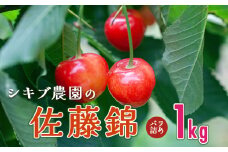 【令和7年産先行予約】 佐藤錦 バラ詰め(M～Lサイズ混合) 1kg（500g×2） 山形県鶴岡産　シキブ農園　K-763