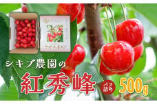 【令和7年産先行予約】 紅秀峰 バラ詰め Lサイズ 500g 山形県鶴岡産　シキブ農園　K-732