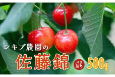 【令和7年産先行予約】 佐藤錦 バラ詰め(M～Lサイズ混合) 500g 山形県鶴岡産　シキブ農園　K-732