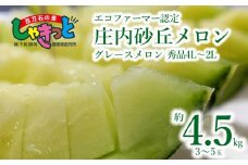 【令和7年産先行予約】 庄内砂丘グレースメロン 秀品4L～2L 約4.5kg(3～5玉) 山形県鶴岡産　百万石の里しゃきっと　K-739