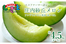 【令和7年産先行予約】 庄内砂丘アンデスメロン 秀品3L～2L 約4.5kg(4～5玉) 山形県鶴岡産　百万石の里しゃきっと　K-739