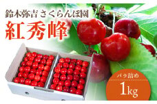 【令和7年産先行予約】 さくらんぼ 「紅秀峰」 バラ詰め 1kg (500g×2) 山形県鶴岡産　鈴木弥吉さくらんぼ園　K-763