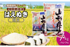【令和7年産先行予約】 特別栽培米はえぬき 7kg (5kg+2kg) 山形県鶴岡産　鶴岡協同ファーム