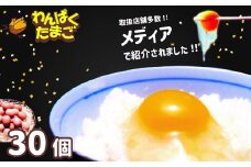A04-751　太陽の下放し飼いわんぱく卵「10個入×3パック」