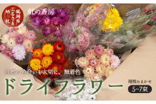 ドライフラワーセット　虹の香房