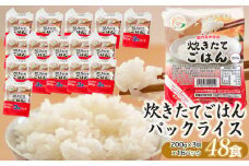 炊きたてごはん パックライス たっぷり 200g × 48食セット