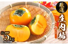 【令和7年産 先行予約】厳選 庄内柿　L又は2Lサイズ　約5kg（24～26個）　元青果