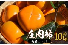 【令和7年産先行予約】 庄内柿 秀品 (L～4Lサイズ)  約10kg (5kg×2箱) 山形県鶴岡市産　株式会社 元青果