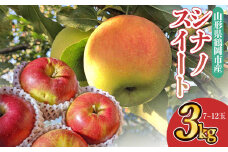【令和7年産 先行予約】山形県鶴岡市産 りんご シナノスイート 約3kg（7～12玉）　庄内産直センター