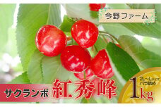 【令和7年産先行予約】さくらんぼ　紅秀峰　2L～L混合　バラ詰め　1kg　今野ファーム