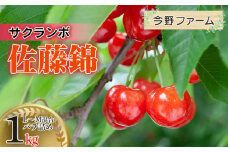 【令和7年産先行予約】さくらんぼ　佐藤錦　L～M混合　バラ詰め　1kg　今野ファーム