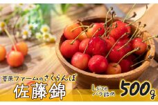 【令和7年産先行予約】 さくらんぼ 佐藤錦　Lサイズ バラ詰め 500g　山形県鶴岡市産　 菅原ファーム