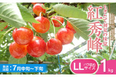 【令和7年産先行予約】紅秀峰 バラ詰め LLサイズ 1kg　もぎたて「初夏の味覚」さくらんぼ　丸忠農園