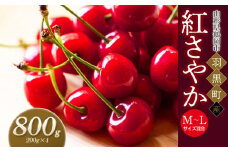 【令和7年産先行予約】さくらんぼ 紅さやか M～Lサイズ混合 バラ詰め 800g (200g×4p) 庄内さくらんぼ園