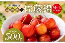 【令和7年産先行予約】さくらんぼ 佐藤錦 バラ詰め M～Lサイズ混合 500g 庄内さくらんぼ園