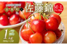 【令和7年産先行予約】さくらんぼ 佐藤錦 バラ詰め M～Lサイズ混合 1kg 庄内さくらんぼ園