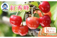 【令和7年産先行予約】 さくらんぼ 紅秀峰 (L又は2Lサイズ) 1kg バラ詰め 山形県鶴岡市産　株式会社 元青果