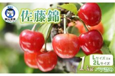 【令和7年産先行予約】 さくらんぼ 佐藤錦 (L又は2Lサイズ) 1kg バラ詰め 山形県鶴岡市産　株式会社 元青果