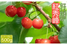 【令和7年産先行予約】 さくらんぼ 紅秀峰 2Lサイズ以上 500g　マルイチ農園
