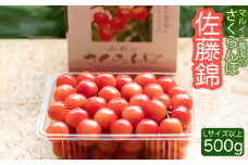 【令和7年産先行予約】さくらんぼ 佐藤錦 Lサイズ以上 500g　マルイチ農園