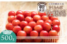 【令和7年産先行予約】 鶴岡市産 佐藤錦 L～2Lサイズ混合 バラ詰め 500g さくらんぼ　大膳農園