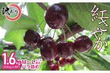 【令和7年産先行予約】【訳あり】鶴岡市産 紅さやか M～Lサイズ混合 バラ詰め 1.6kg（200g×8P） さくらんぼ　大膳農園