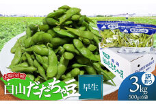 【令和7年産先行予約】【訳あり】本場白山産 白山だだちゃ豆【早生(わせ)】 3kg（500g×6袋）　農家 長四郎