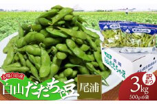 【令和7年産先行予約】【訳あり】本場白山産 白山だだちゃ豆【尾浦(おうら)】 3kg（500g×6袋）　農家 長四郎