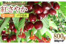 【令和7年産先行予約】 鶴岡市産 さくらんぼ　紅さやか　M～Lサイズフードパック詰800g　(200g×4) 【五十嵐　茂也】