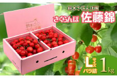 【令和7年産先行予約】 さくらんぼ 佐藤錦 バラ詰め Lサイズ 1kg　山形県鶴岡産　鈴木さくらんぼ園