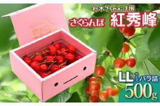 【令和7年産先行予約】 さくらんぼ 紅秀峰 LLサイズ バラ詰め 500g　山形県鶴岡産　鈴木さくらんぼ園