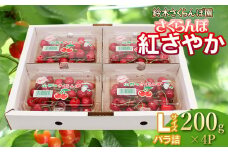 【令和7年産先行予約】 さくらんぼ 紅さやか Lサイズ フードパック 800g（200g×4p） 山形県鶴岡産　鈴木さくらんぼ園