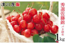 【令和7年産 先行予約】さくらんぼ 佐藤錦 秀選バラ詰め【1kg】(Lサイズ）　清川屋