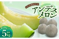 【令和7年産先行予約】山形県鶴岡市産 アンデスメロン（青肉） 5kg（4～5玉） 庄内砂丘メロン　小林ファーム
