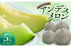 【令和8年産先行予約】 アンデスメロン（青肉） 約5kg（4～5玉） 山形県鶴岡市産　小林ファーム