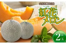 【令和8年産先行予約】 紅花メロン(赤肉)　3Lサイズ　2玉入り1箱　山形県鶴岡市産　小林ファーム