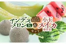 【令和7年産先行予約】 アンデスメロン と 小玉スイカ (姫甘泉) セット 各2玉（合計約5kg） 山形県鶴岡市産 庄内砂丘メロン　小林ファーム