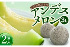 【令和7年産先行予約】 アンデスメロン 2玉入り（青肉） 山形県鶴岡市産 庄内砂丘メロン　小林ファーム