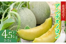 【令和7年産 先行予約】産地直送！庄内砂丘アンデスメロン 約4.5kg (3～5玉)　K-733