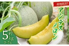【令和8年産先行予約】産地直送！庄内砂丘アンデスメロン 約5kg (3～5玉)　佐藤農園　K-835