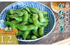【令和7年産先行予約】鶴岡特産 白山産だだちゃ豆(晩生)　1.2kg（600g×2袋）K-731　森屋藤十郎