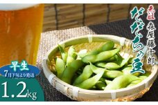【令和7年産先行予約】鶴岡特産 白山産だだちゃ豆(早生)　1.2kg（600g×2袋）K-731　森屋藤十郎　