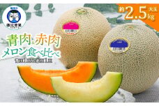 【令和7年産先行予約】 庄内砂丘青肉・赤肉メロン食べくらべ　 各1玉 (計2玉) 約2.5kg 山形県鶴岡市産　株式会社 元青果