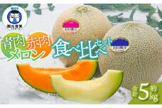 【令和7年産先行予約】 庄内砂丘青肉・赤肉メロン食べ比べ 各2玉 (計4玉) 約5kg 山形県鶴岡市産　株式会社 元青果