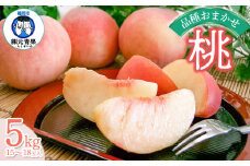 【令和7年産先行予約】 桃 品種おまかせ 5kg(15玉～18玉) 山形県鶴岡市産　株式会社 元青果