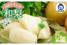 【令和7年産先行予約】 和梨 品種おまかせ 5kg (12～16玉) 秀品 山形県鶴岡市産　株式会社 元青果
