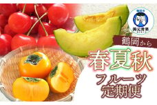 【先行予約】令和7年産 鶴岡から春夏秋のフルーツ定期便【3回お届け】山形県鶴岡産　元青果