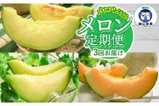 【先行予約】令和7年産 メロン好きのメロン定期便 【3回お届け】 山形県鶴岡産　元青果