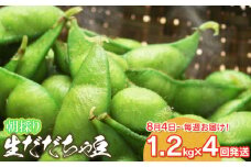 【令和7年産先行予約】【定期便】 朝採りだだちゃ豆 だだちゃ豆好き必見！毎週お届け！4回発送 1.2kg(600g×2袋)×4回　山形県鶴岡市産　鶴岡ファーマーズ